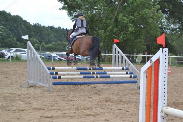 reitertag 2013 61